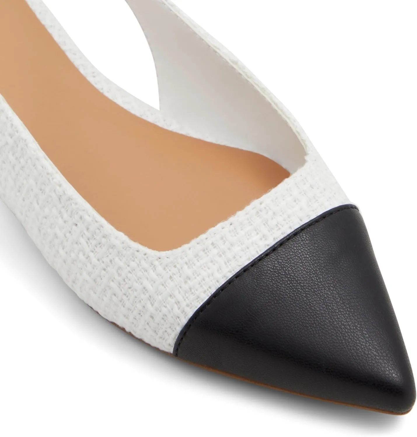ALDO Women's Fleure Ballet Flat